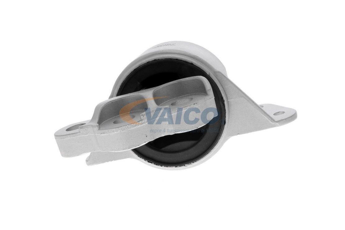 Variklio montavimas VAICO V24-0552