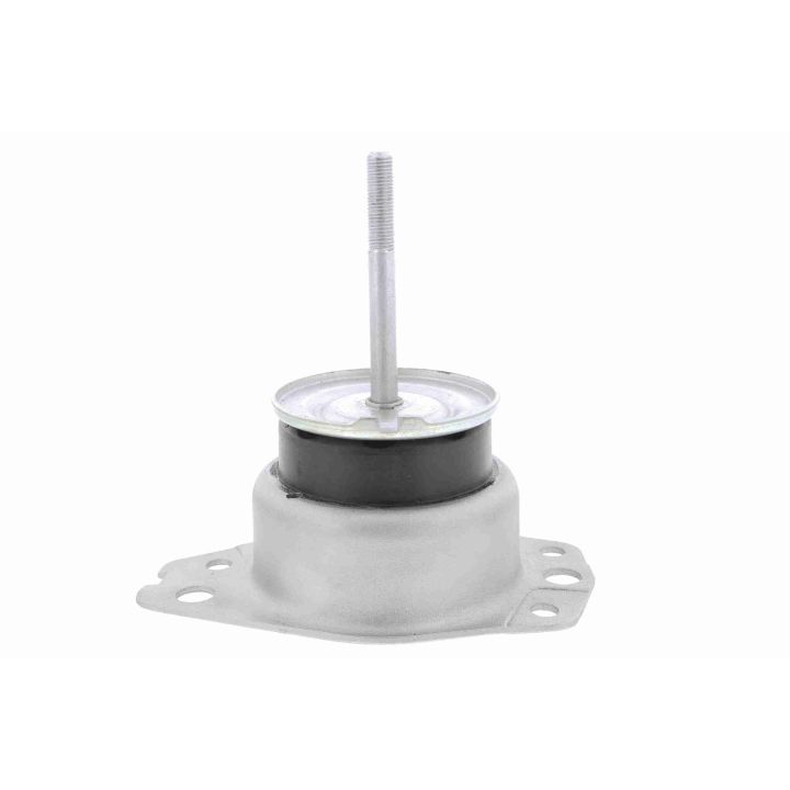 Variklio montavimas VAICO V24-0940