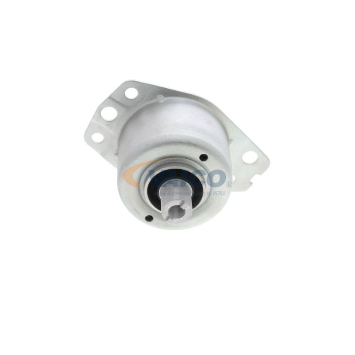 Variklio montavimas VAICO V24-0941