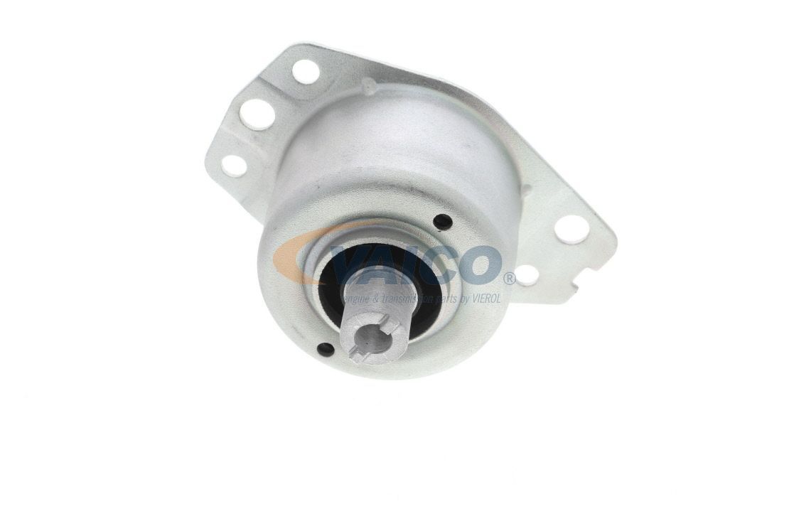 Variklio montavimas VAICO V24-0941