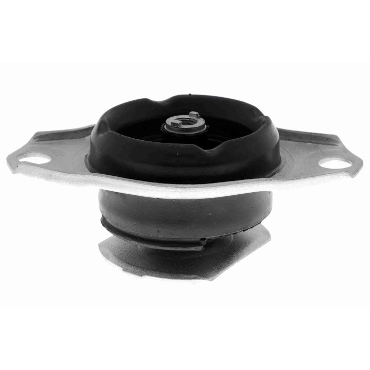 Variklio montavimas VAICO V24-0942