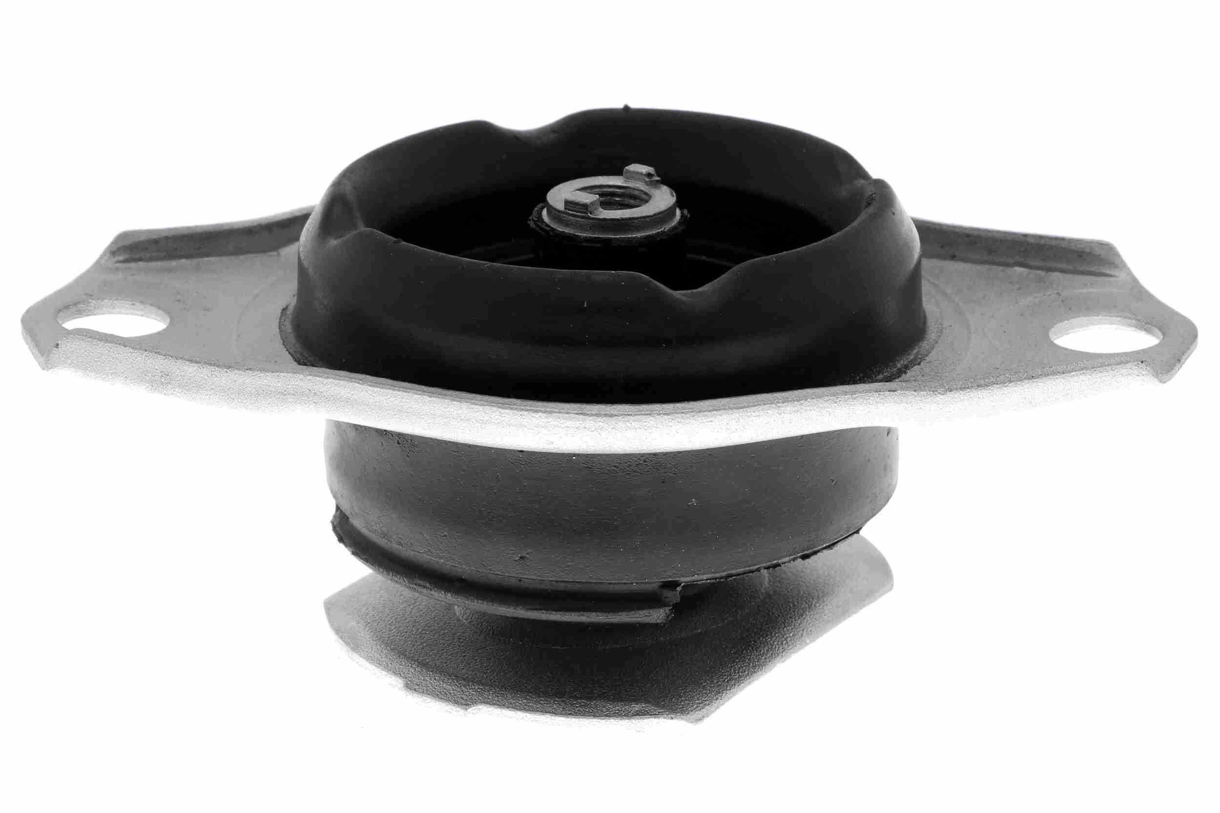 Variklio montavimas VAICO V24-0942