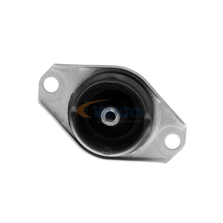 Variklio montavimas VAICO V24-0942