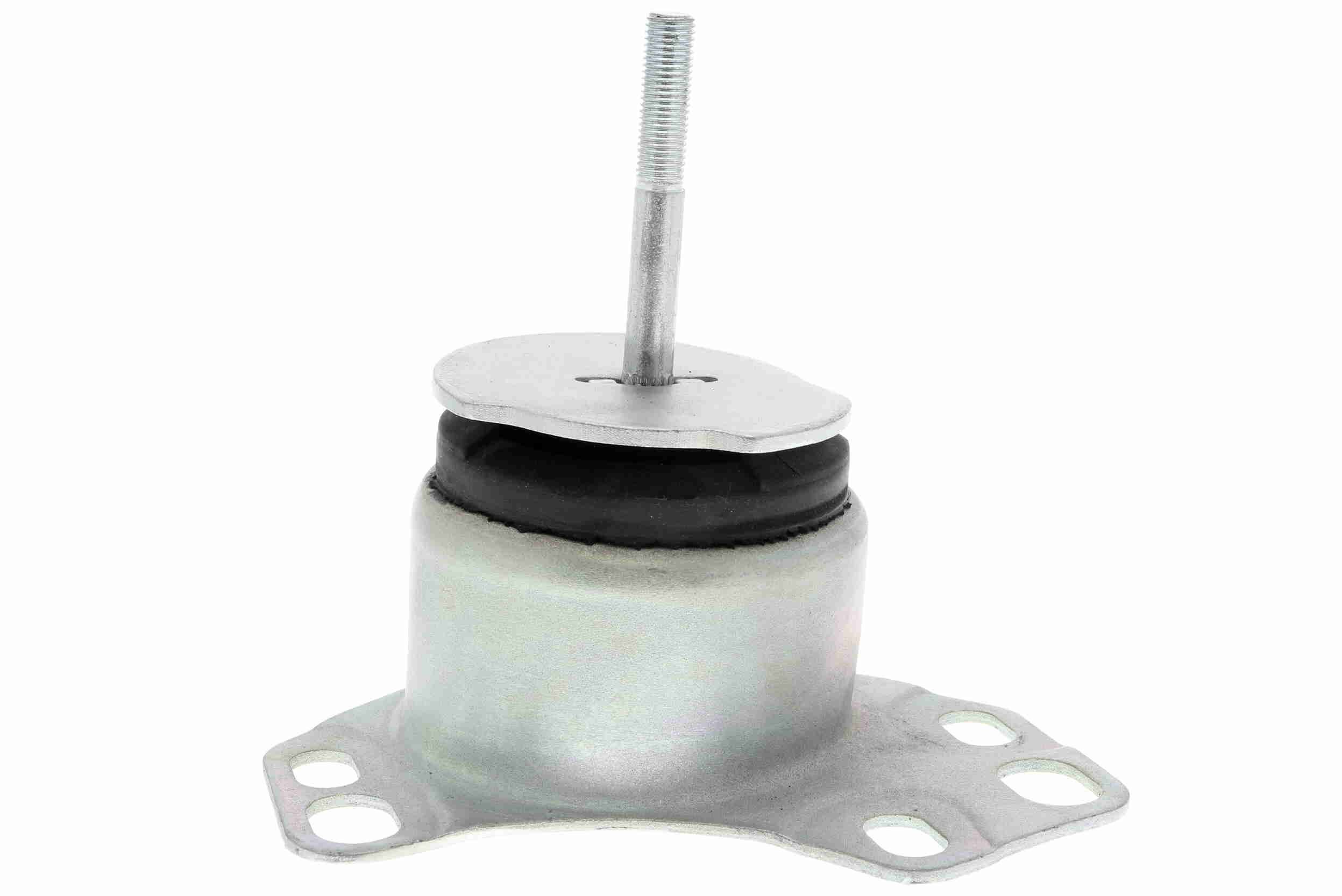 Variklio montavimas VAICO V24-0943