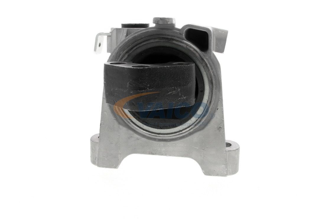 Variklio montavimas VAICO V24-0980