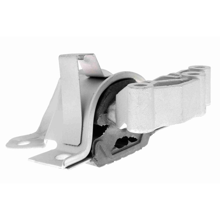 Variklio montavimas VAICO V24-0982