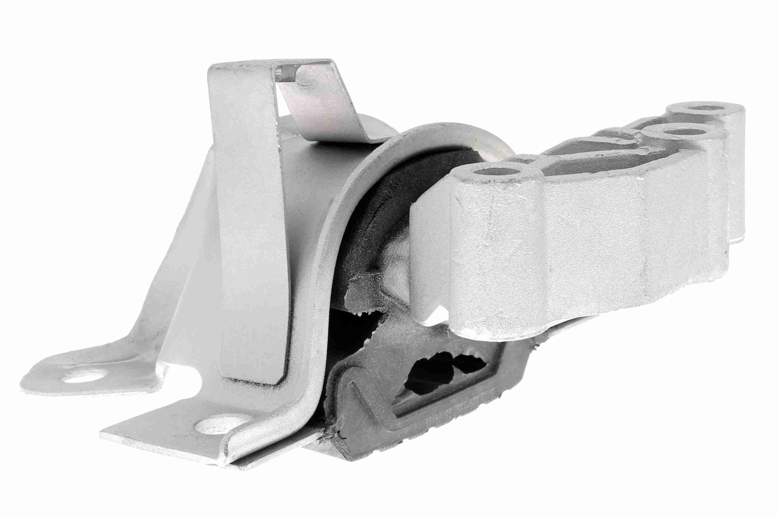 Variklio montavimas VAICO V24-0982