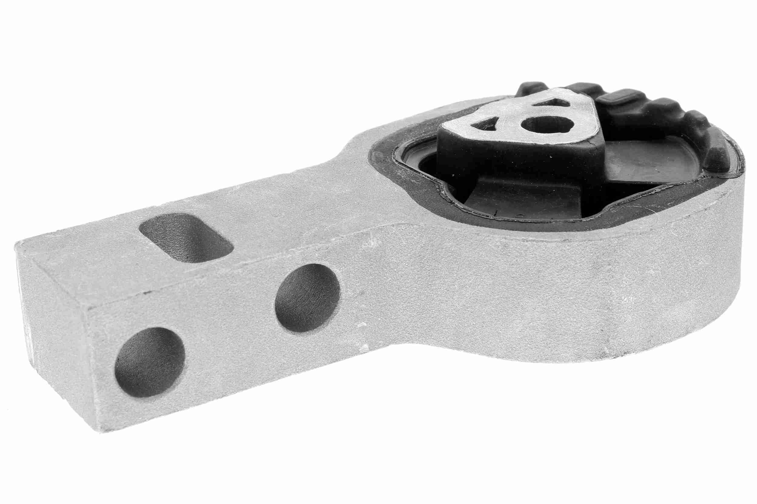 Variklio montavimas VAICO V24-0983