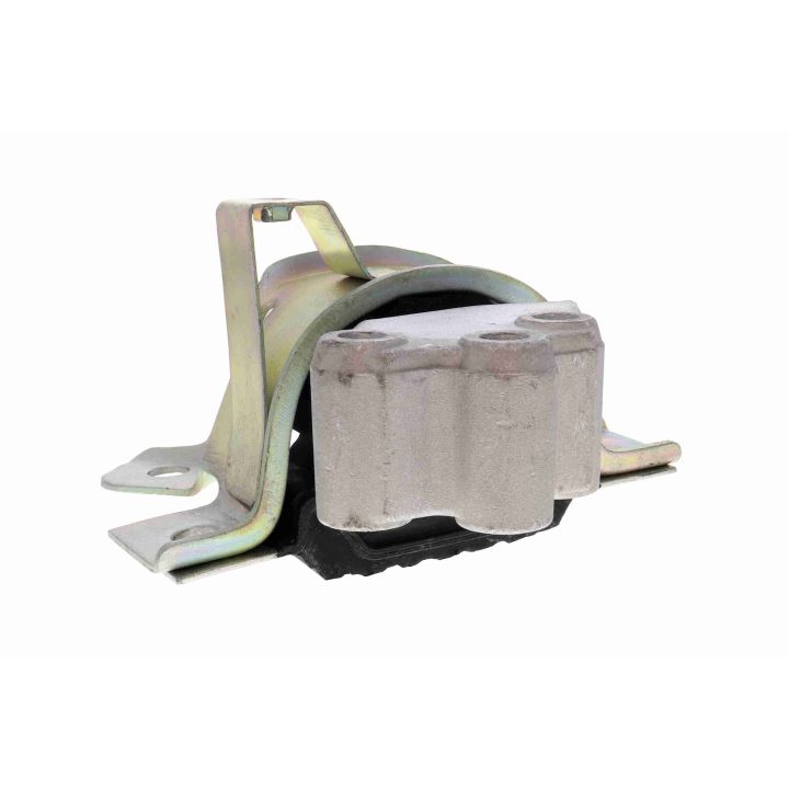 Variklio montavimas VAICO V24-1171