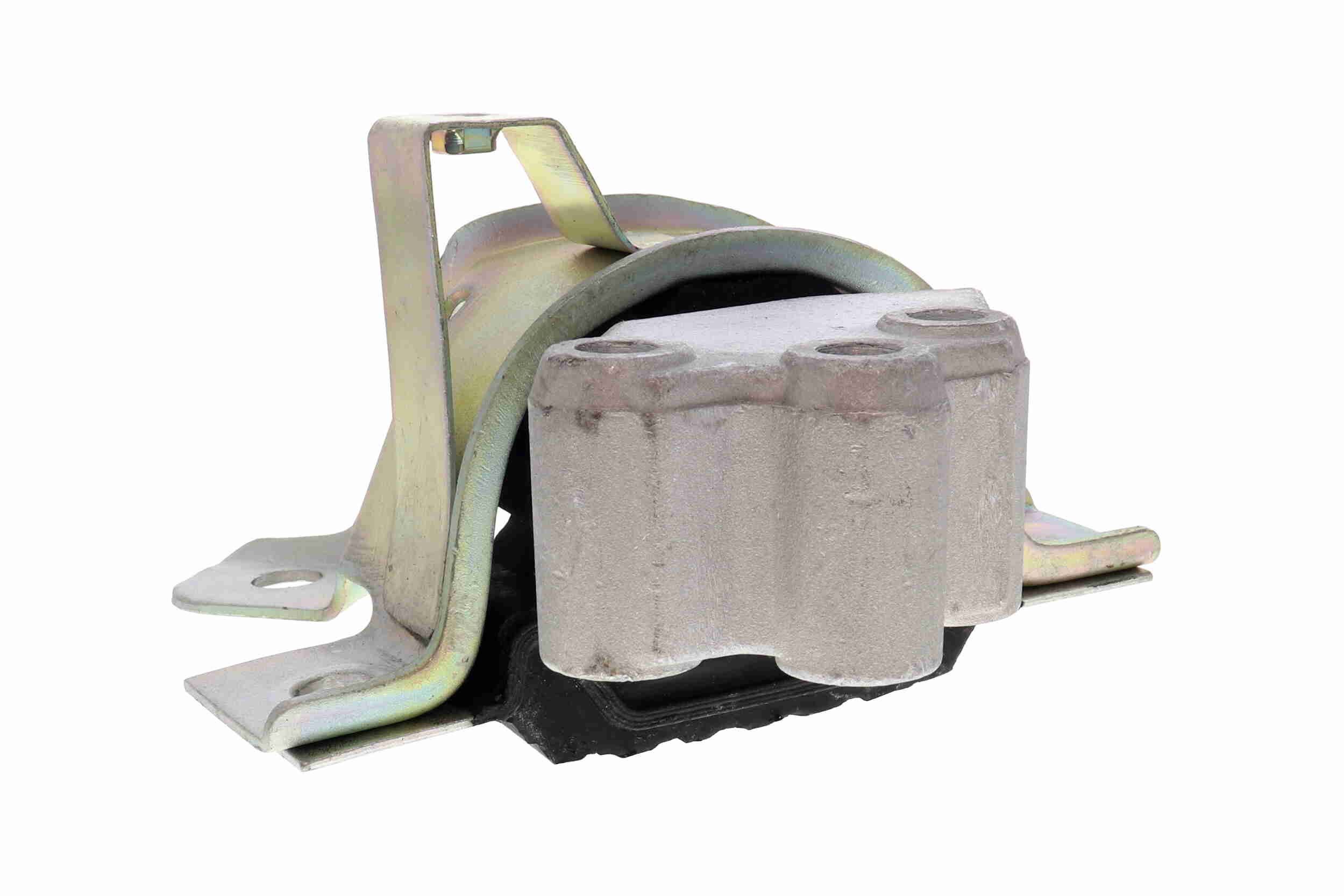 Variklio montavimas VAICO V24-1171