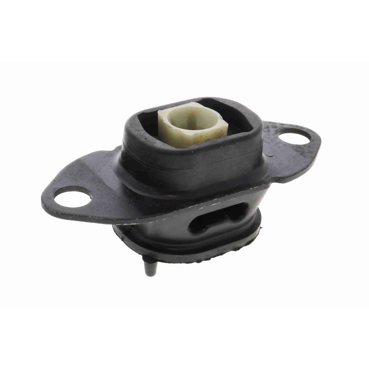 Variklio montavimas VAICO V30-1736