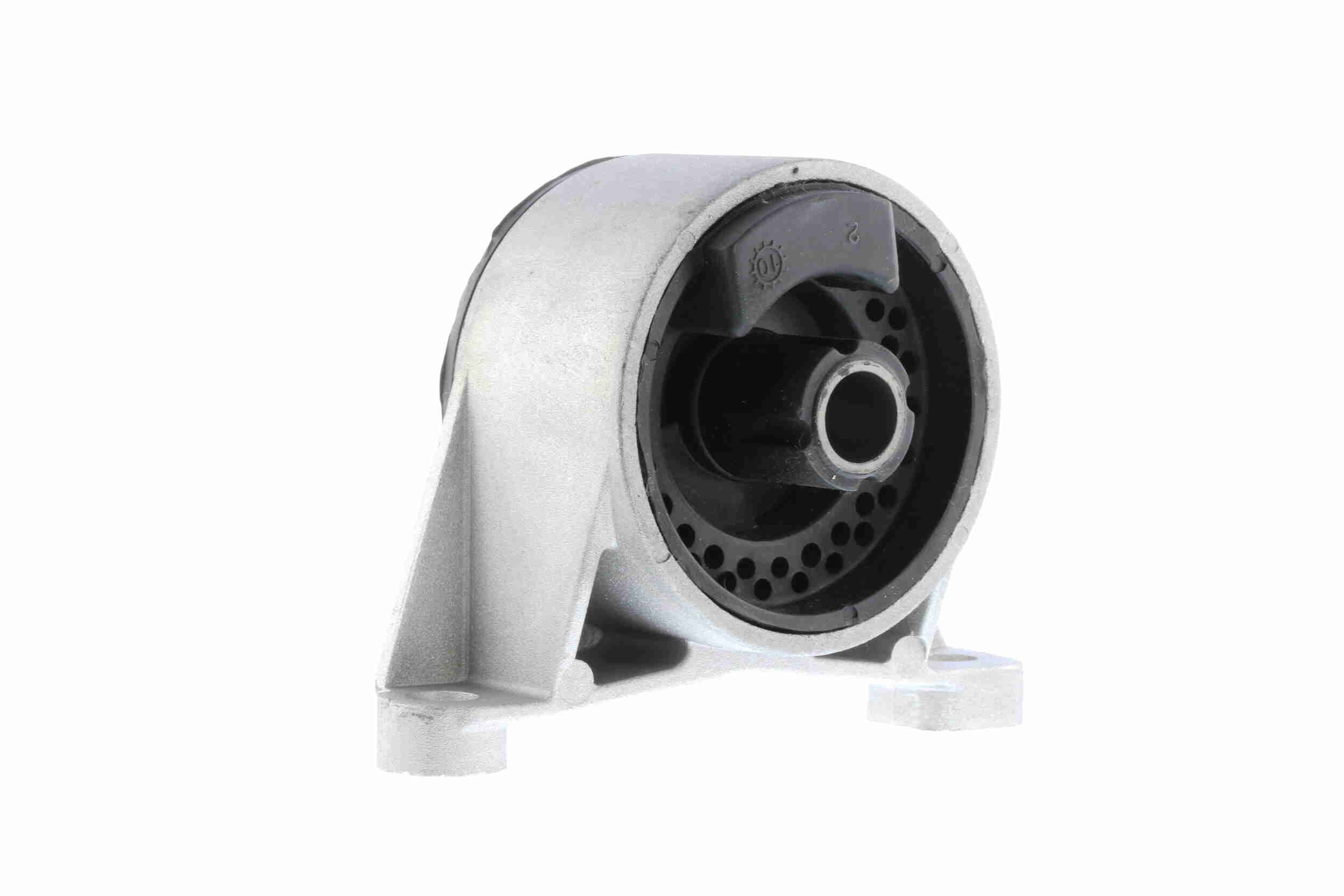 Variklio montavimas VAICO V40-0455