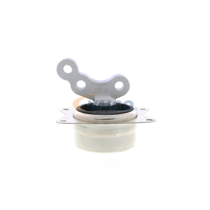 Variklio montavimas VAICO V40-1131