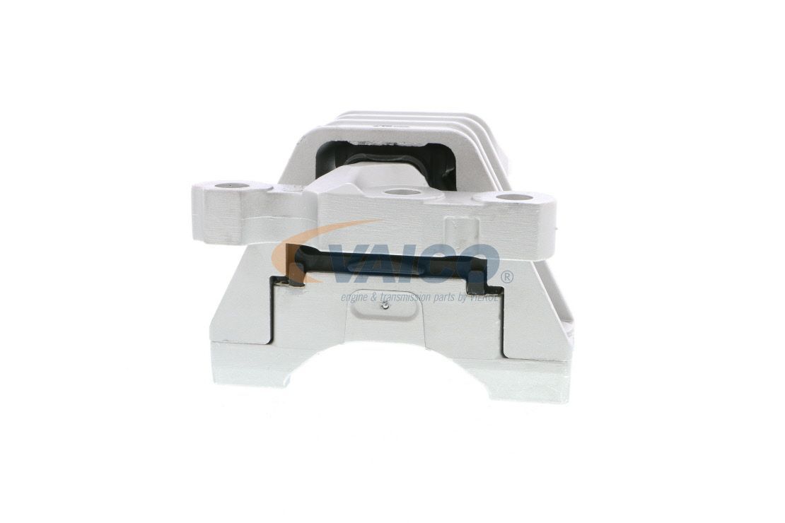 Variklio montavimas VAICO V40-1138