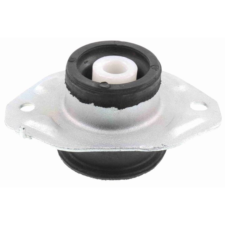 Variklio montavimas VAICO V40-1543