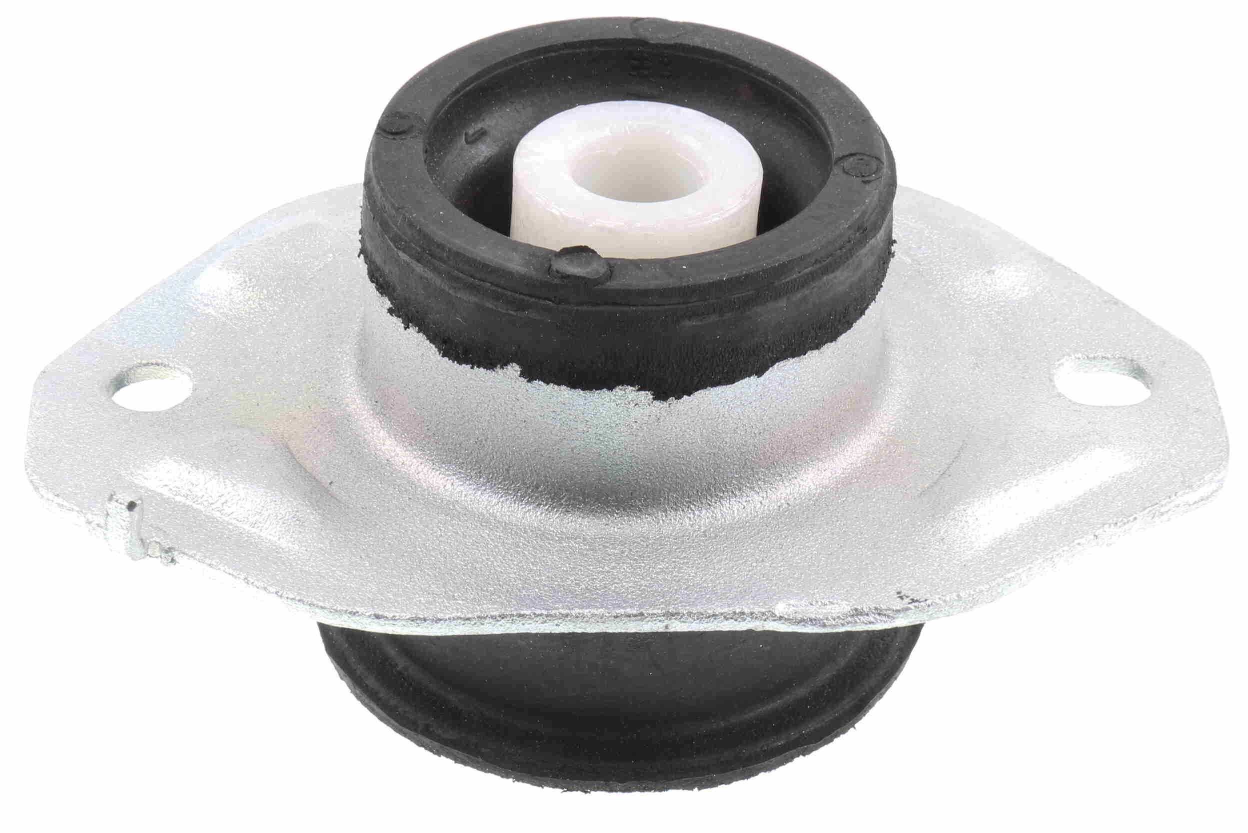 Variklio montavimas VAICO V40-1543