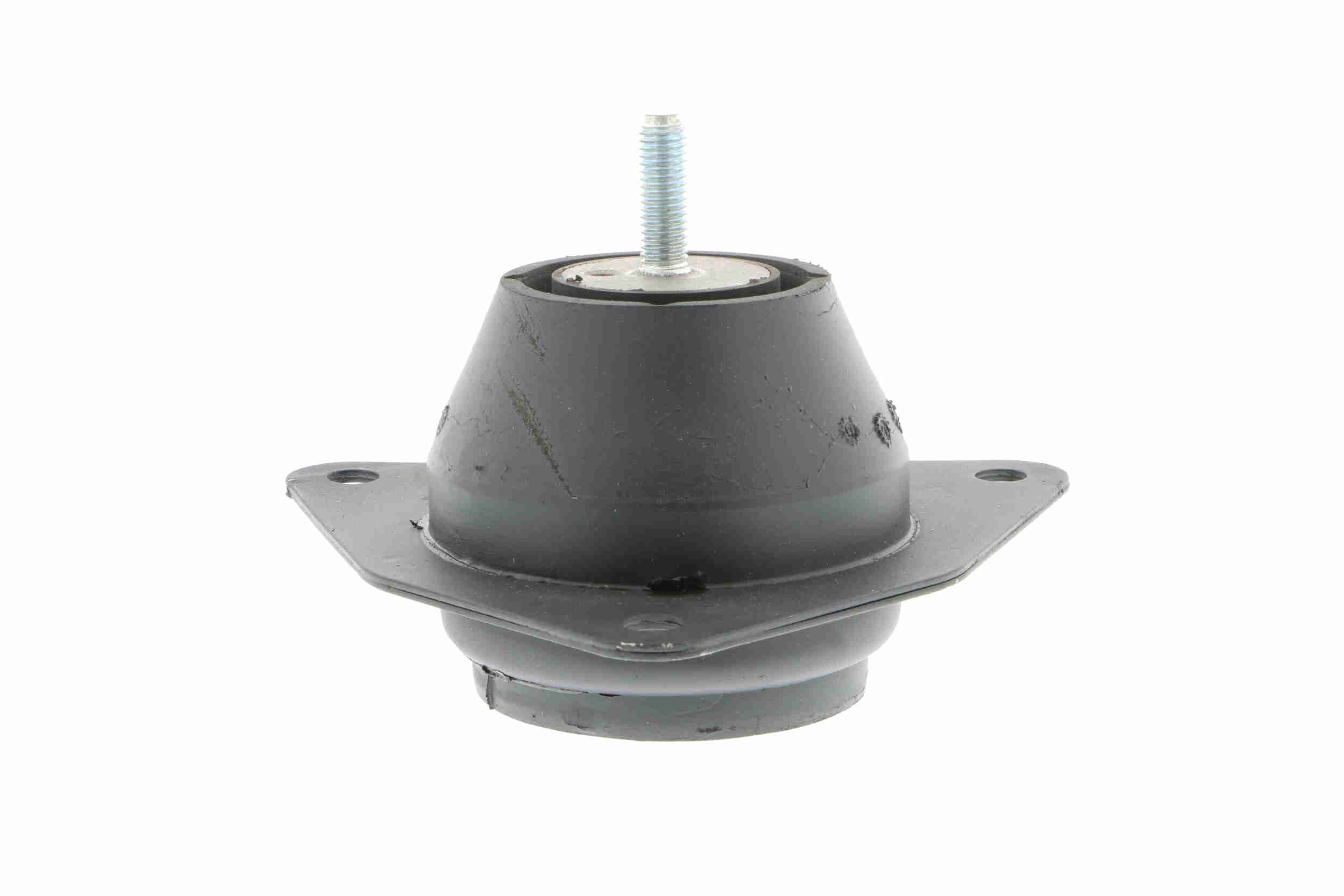 Variklio montavimas VAICO V46-0099