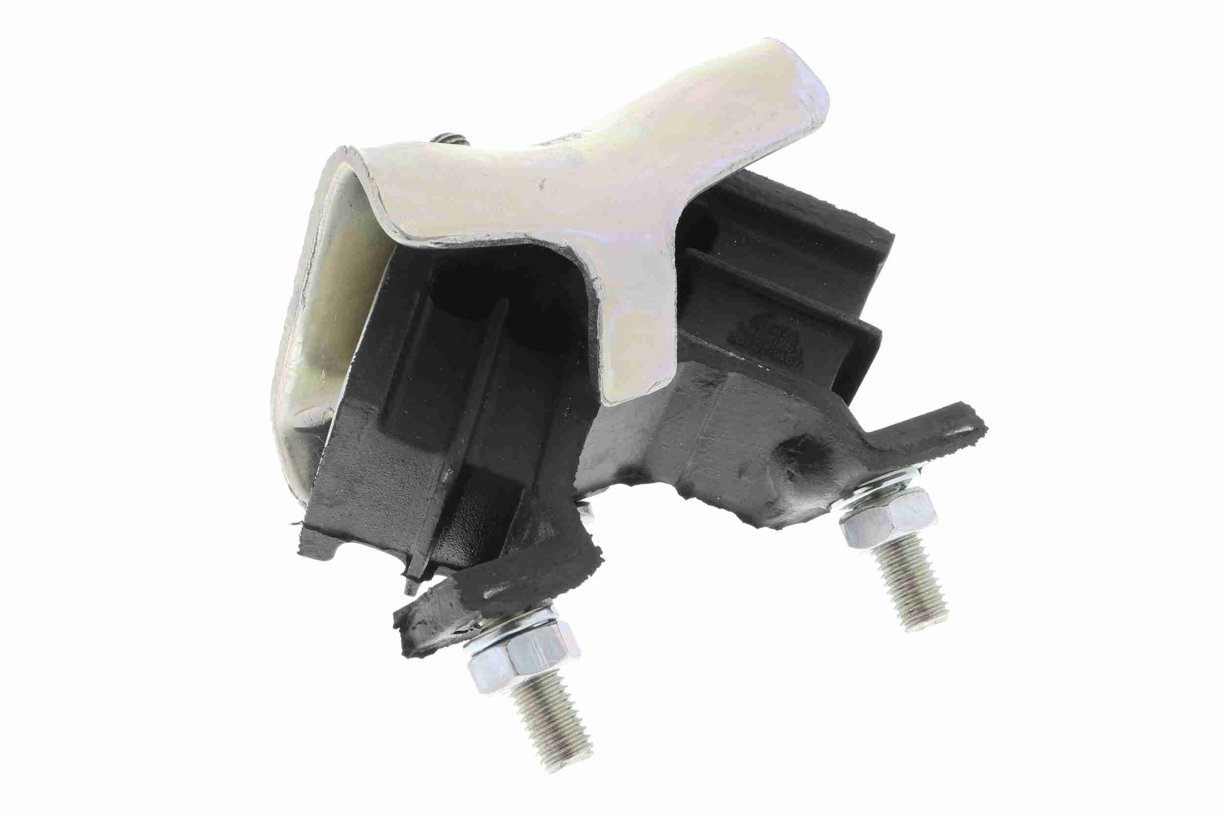 Variklio montavimas VAICO V46-0251