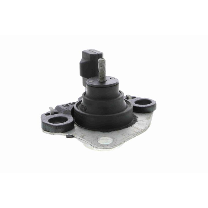 Variklio montavimas VAICO V46-0260