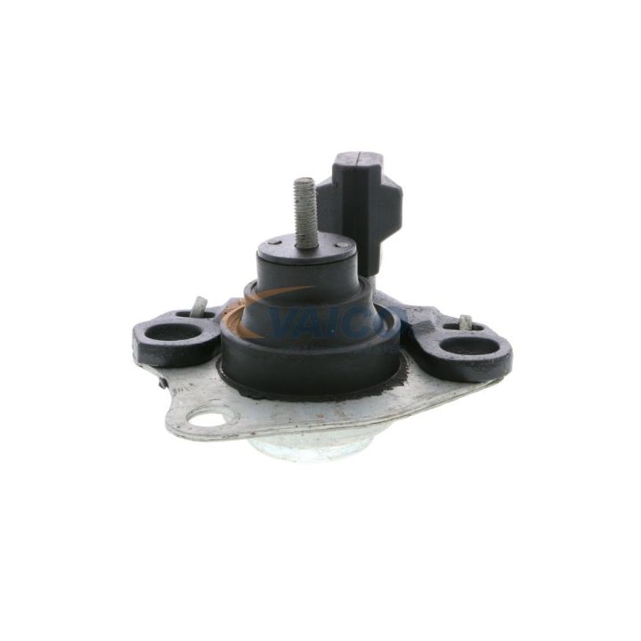 Variklio montavimas VAICO V46-0260