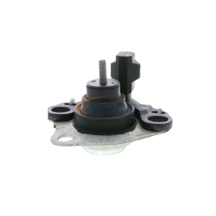 Variklio montavimas VAICO V46-0260