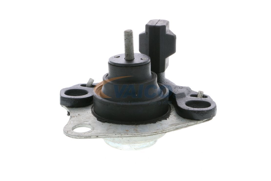 Variklio montavimas VAICO V46-0260
