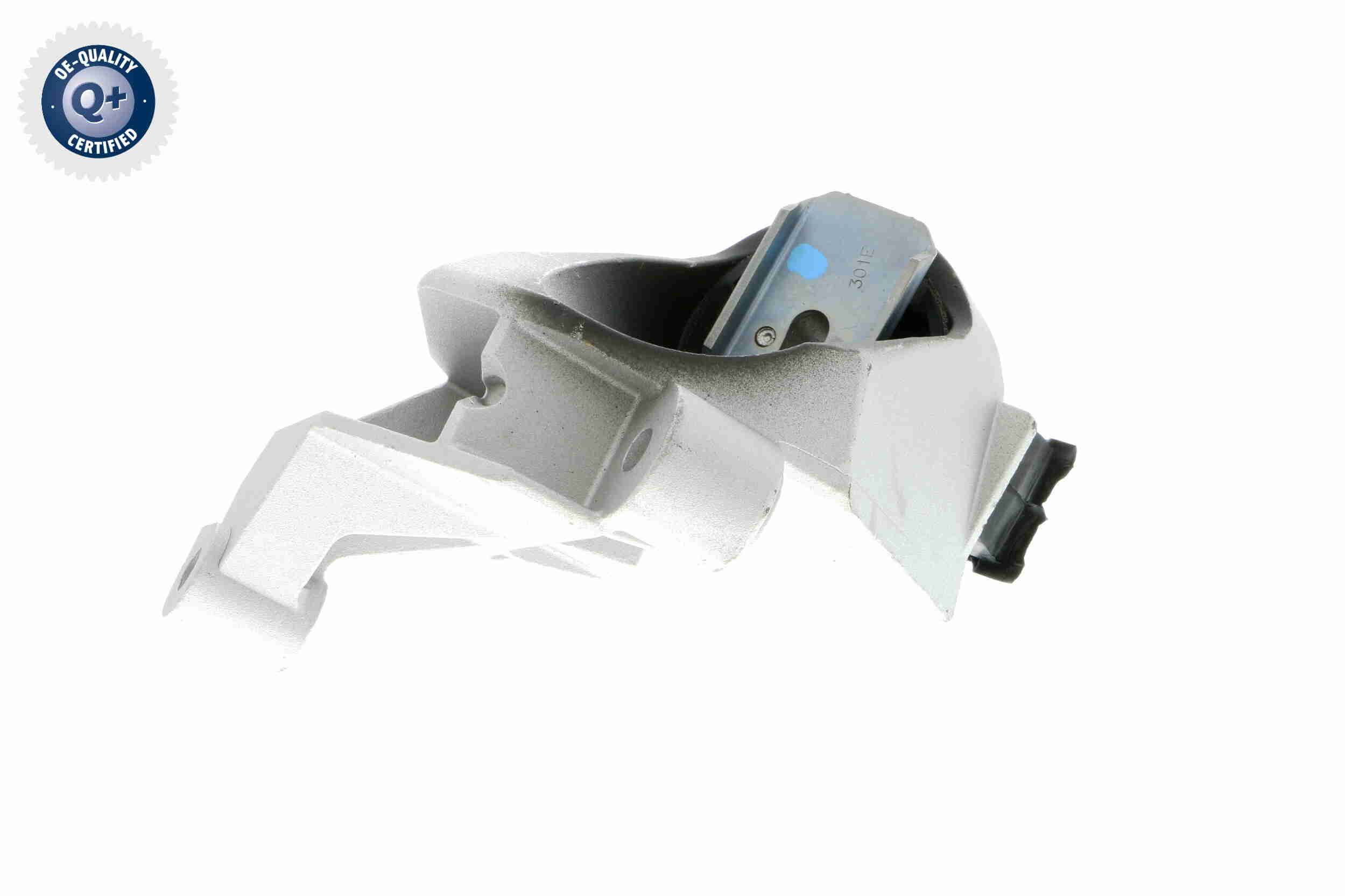 Variklio montavimas VAICO V46-0352