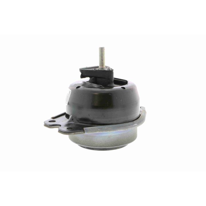 Variklio montavimas VAICO V46-0353