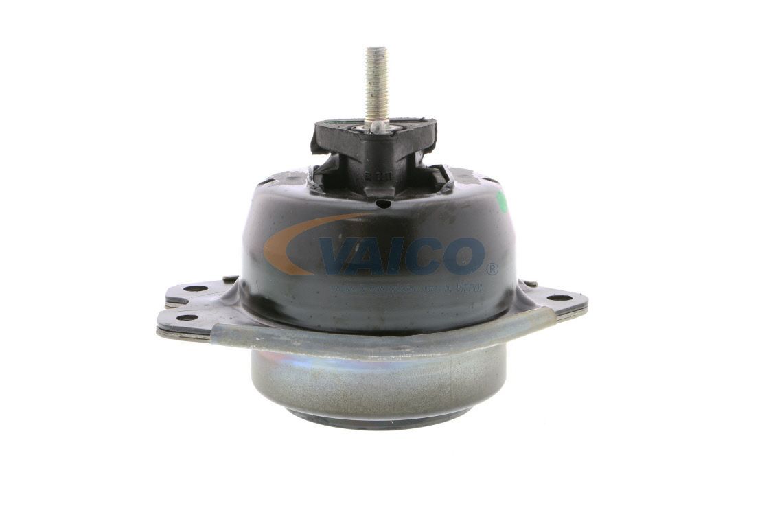 Variklio montavimas VAICO V46-0353