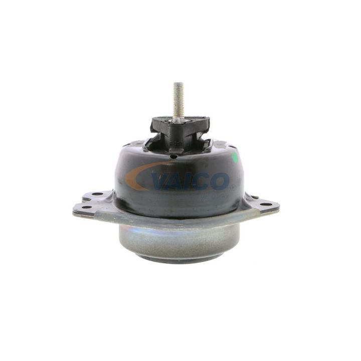 Variklio montavimas VAICO V46-0353