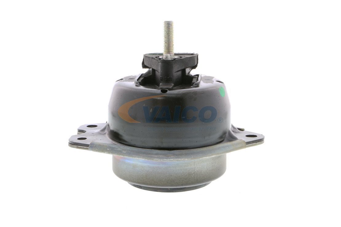 Variklio montavimas VAICO V46-0353