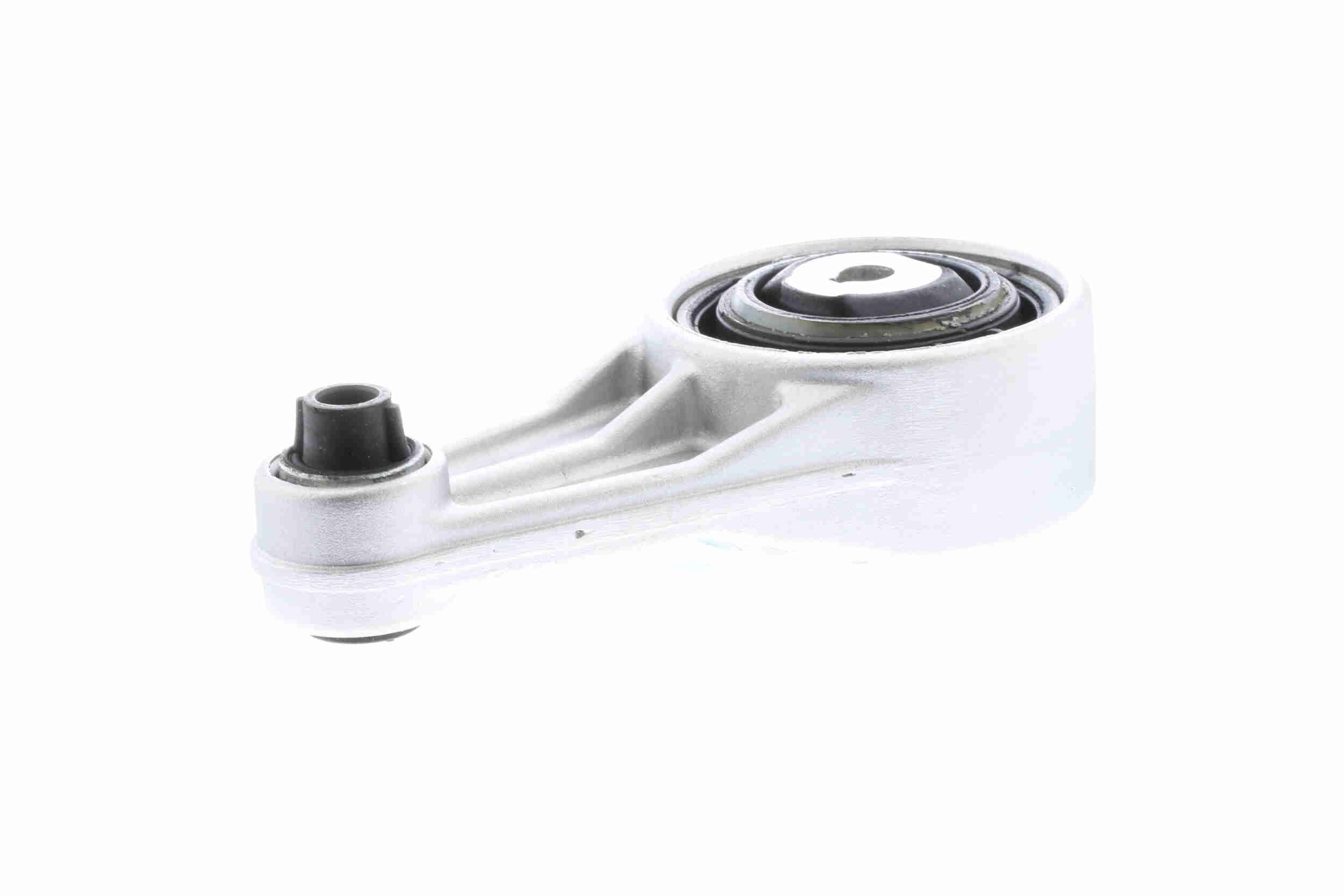 Variklio montavimas VAICO V46-0357