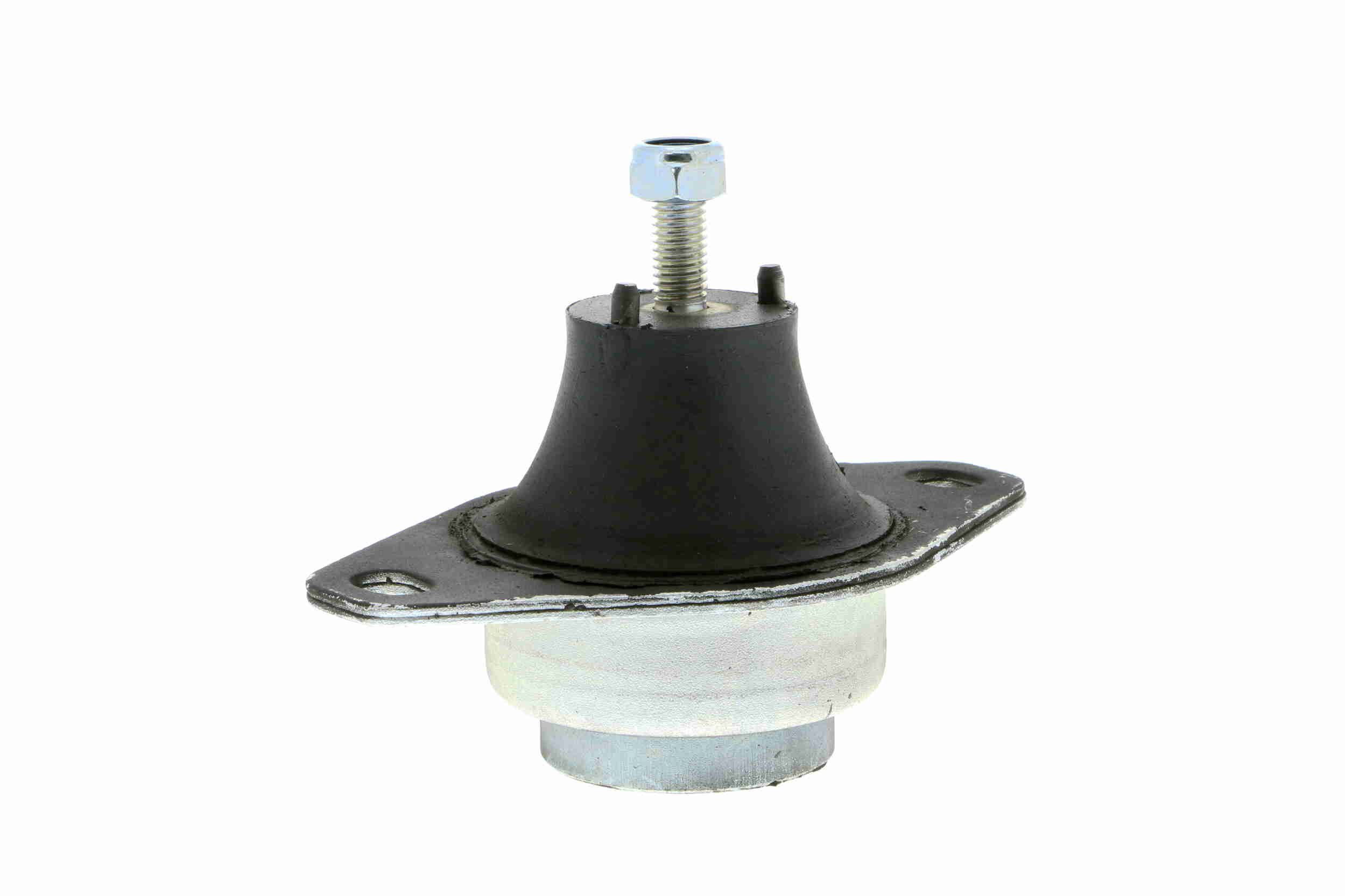 Variklio montavimas VAICO V46-0360