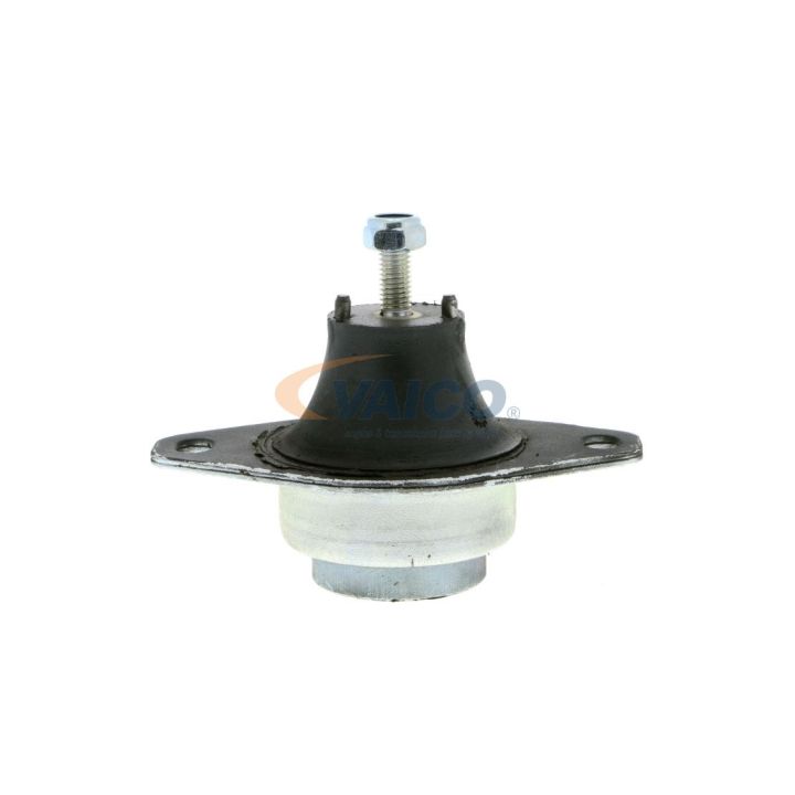 Variklio montavimas VAICO V46-0360