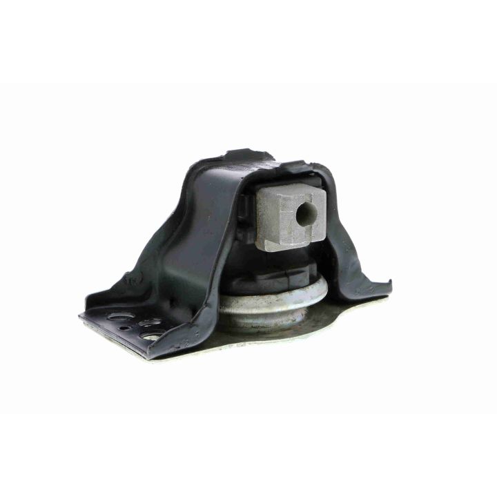 Variklio montavimas VAICO V46-0371