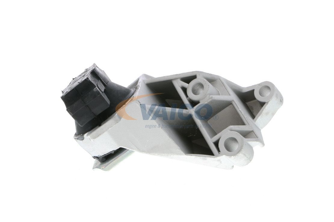 Variklio montavimas VAICO V46-0579