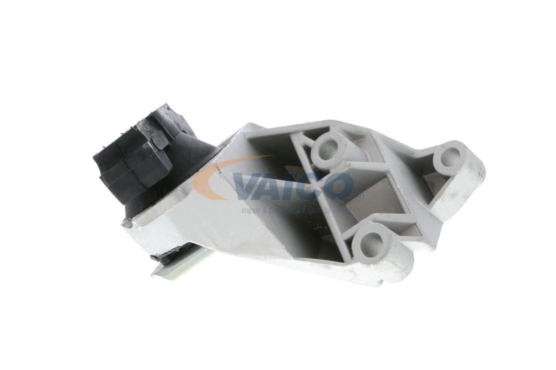 Variklio montavimas VAICO V46-0579