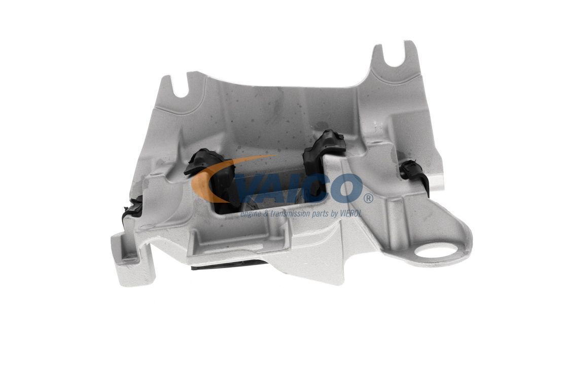 Variklio montavimas VAICO V46-0681