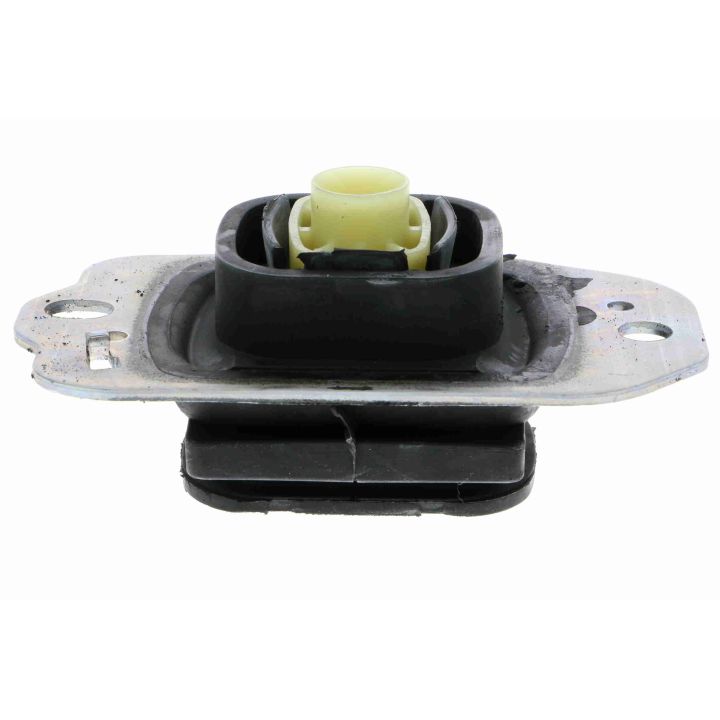 Variklio montavimas VAICO V46-0764