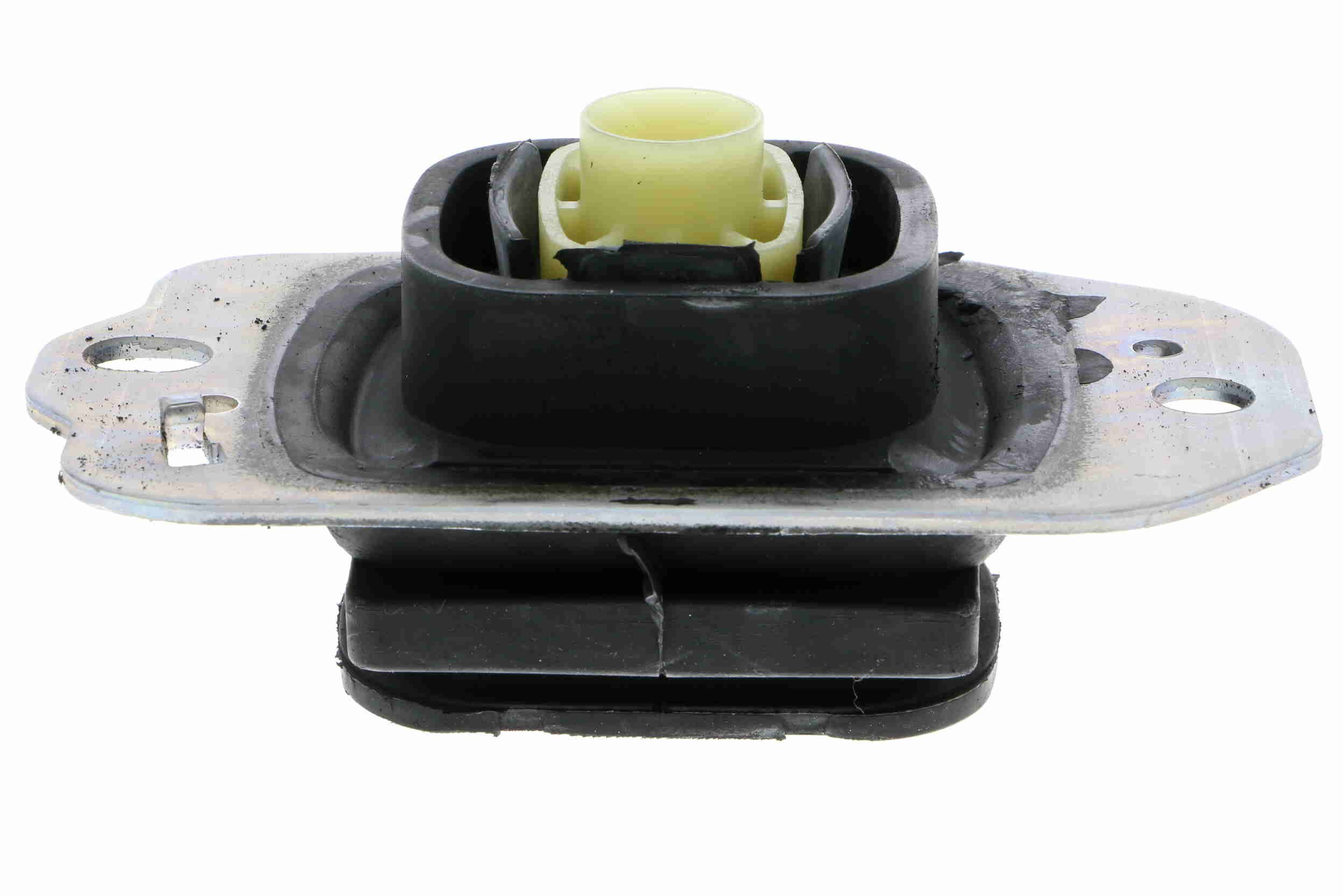 Variklio montavimas VAICO V46-0764