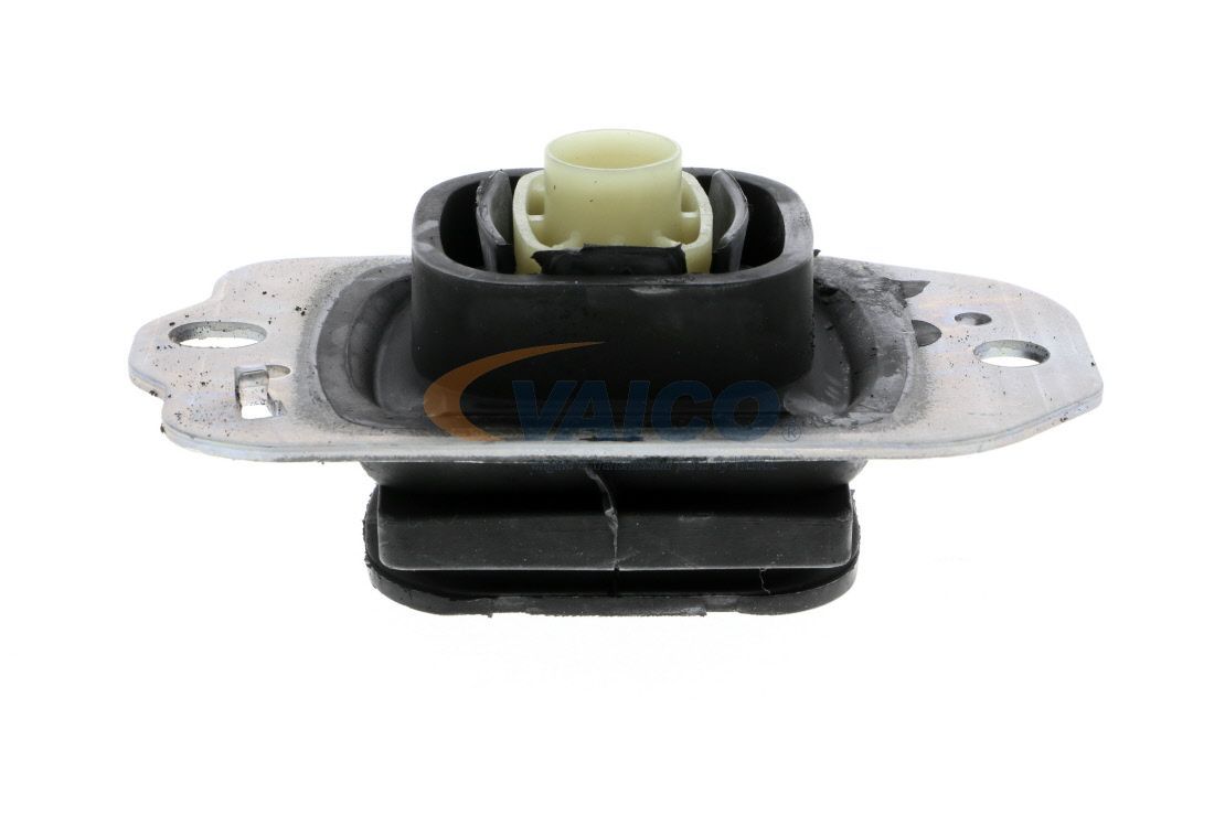 Variklio montavimas VAICO V46-0764