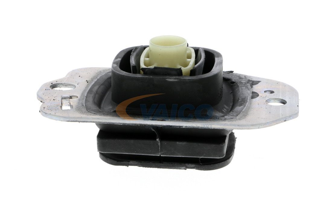 Variklio montavimas VAICO V46-0764