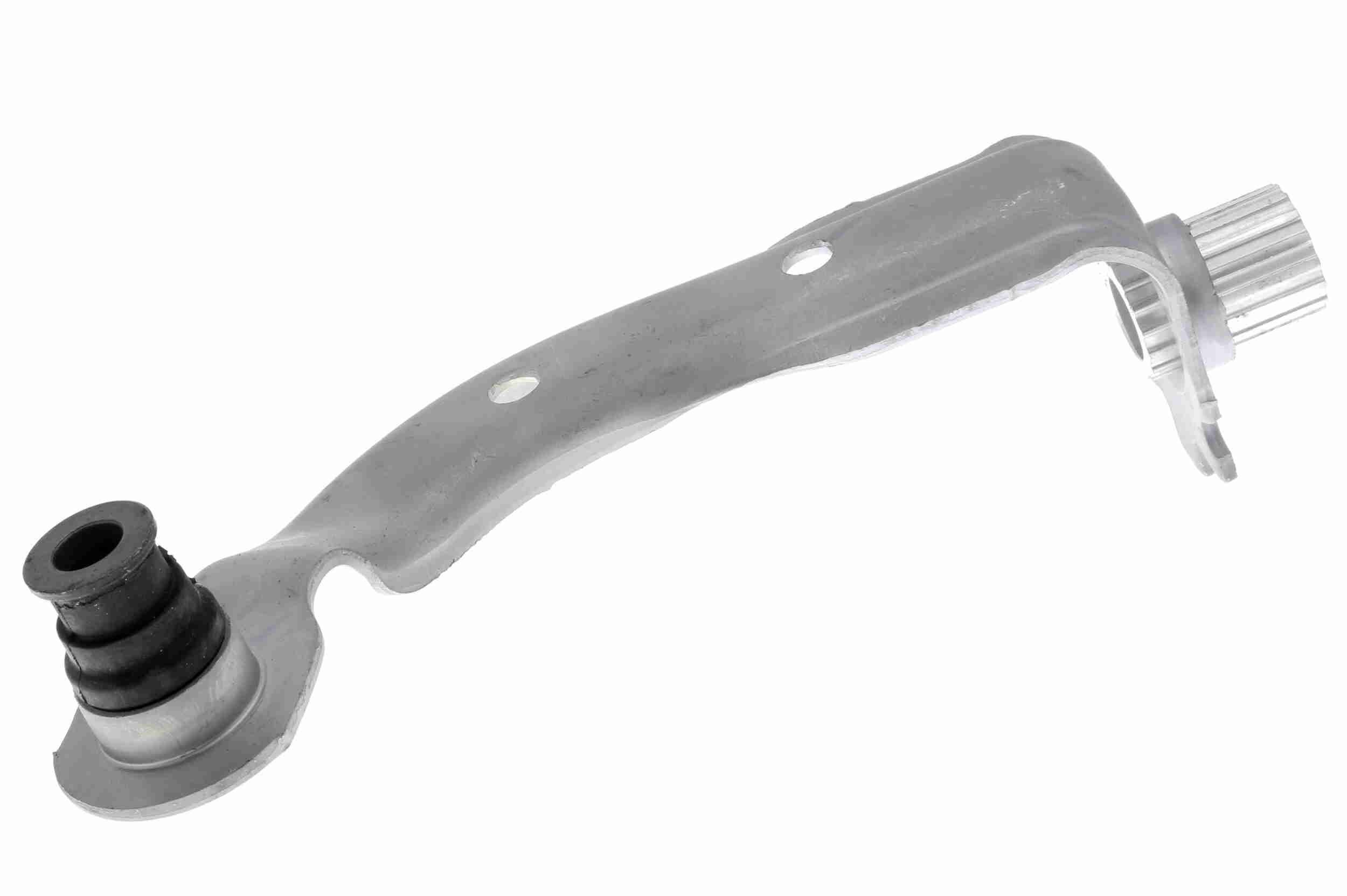 Variklio montavimas VAICO V46-0776