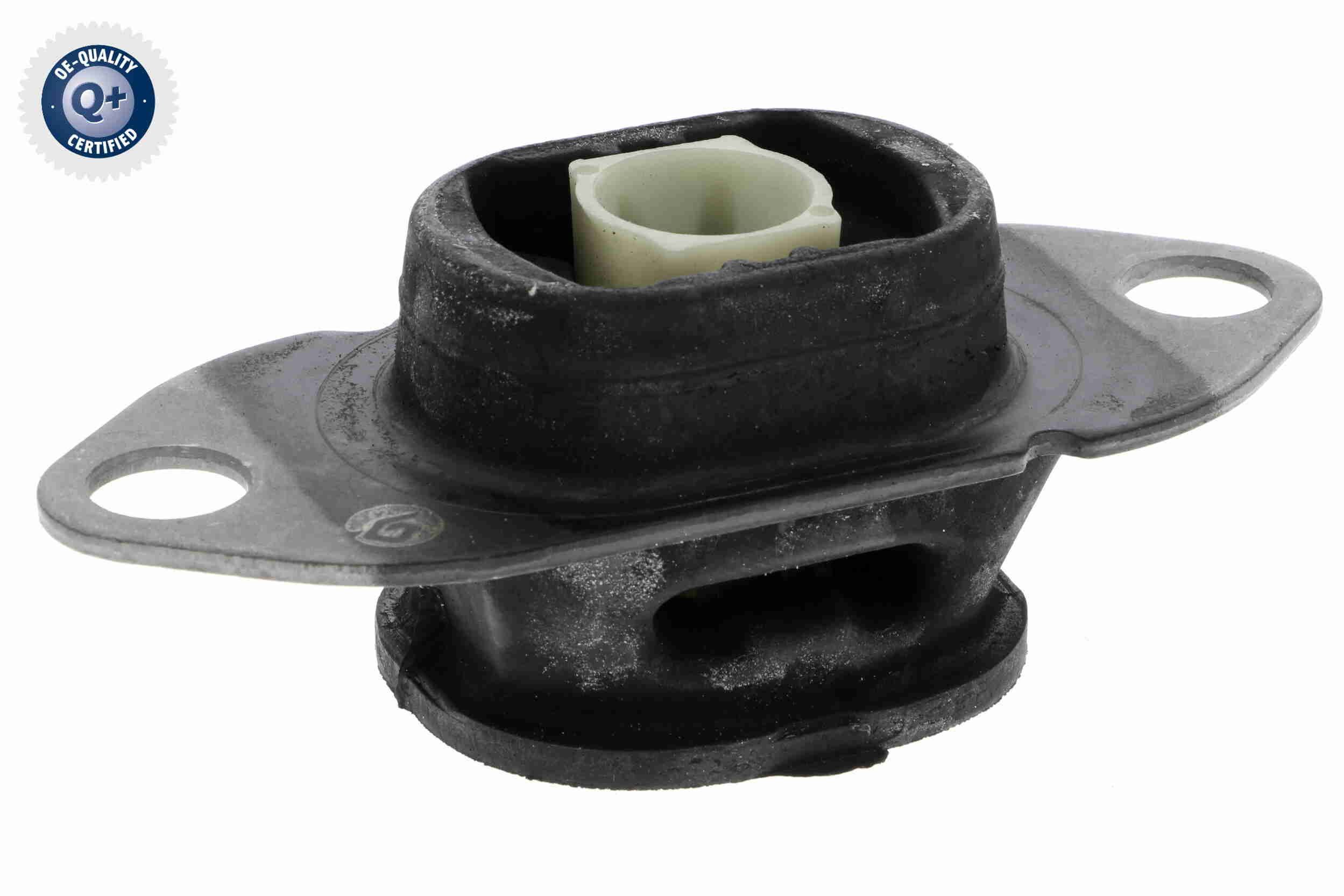 Variklio montavimas VAICO V46-0878