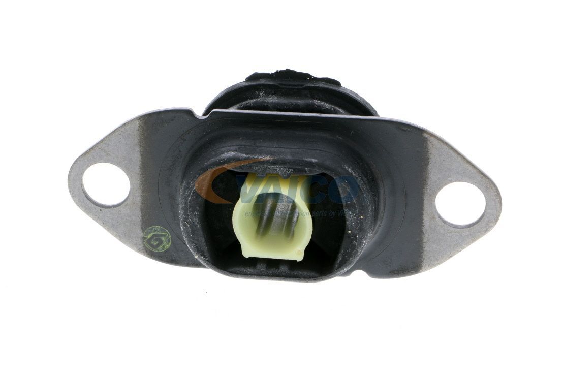 Variklio montavimas VAICO V46-0878