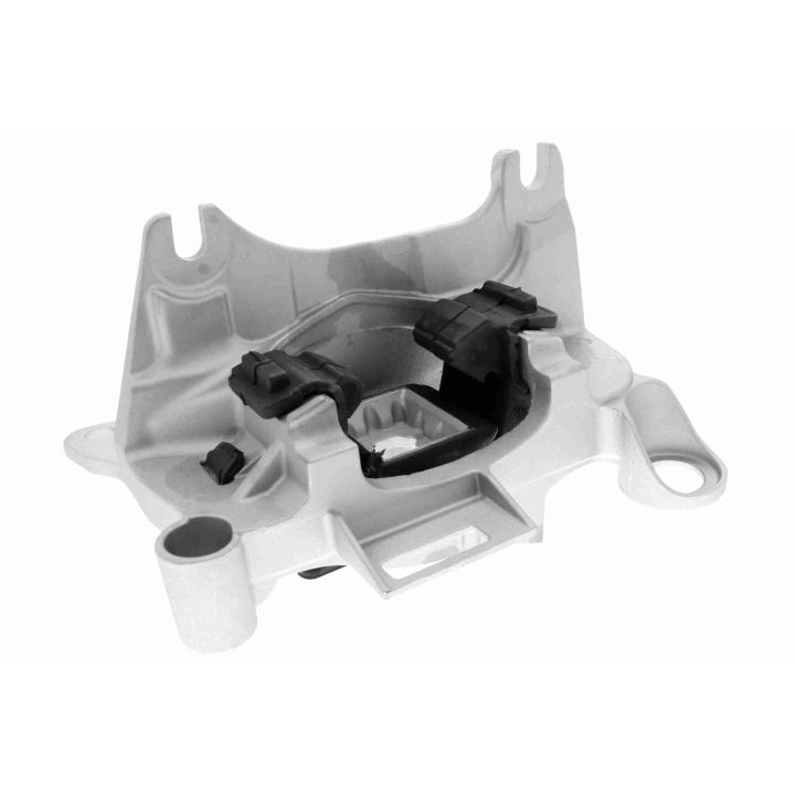 Variklio montavimas VAICO V46-1131