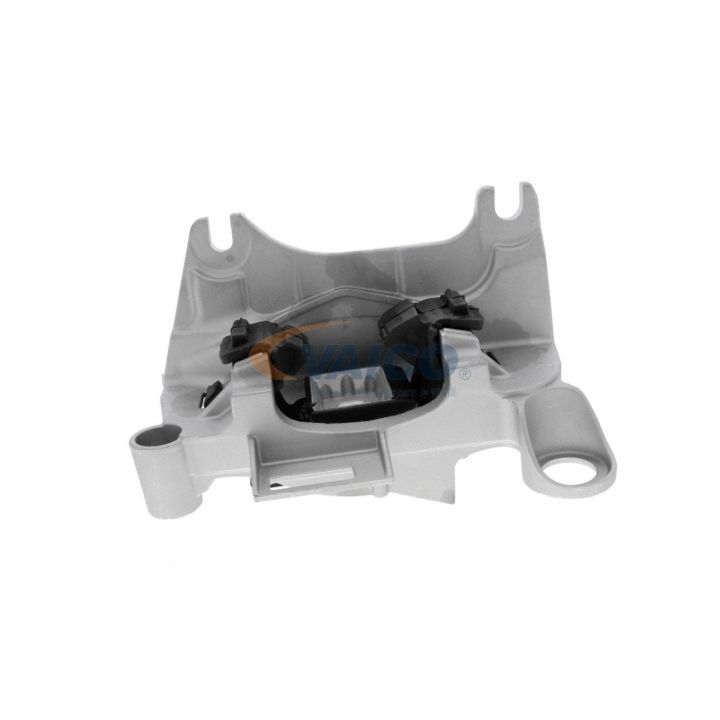 Variklio montavimas VAICO V46-1131