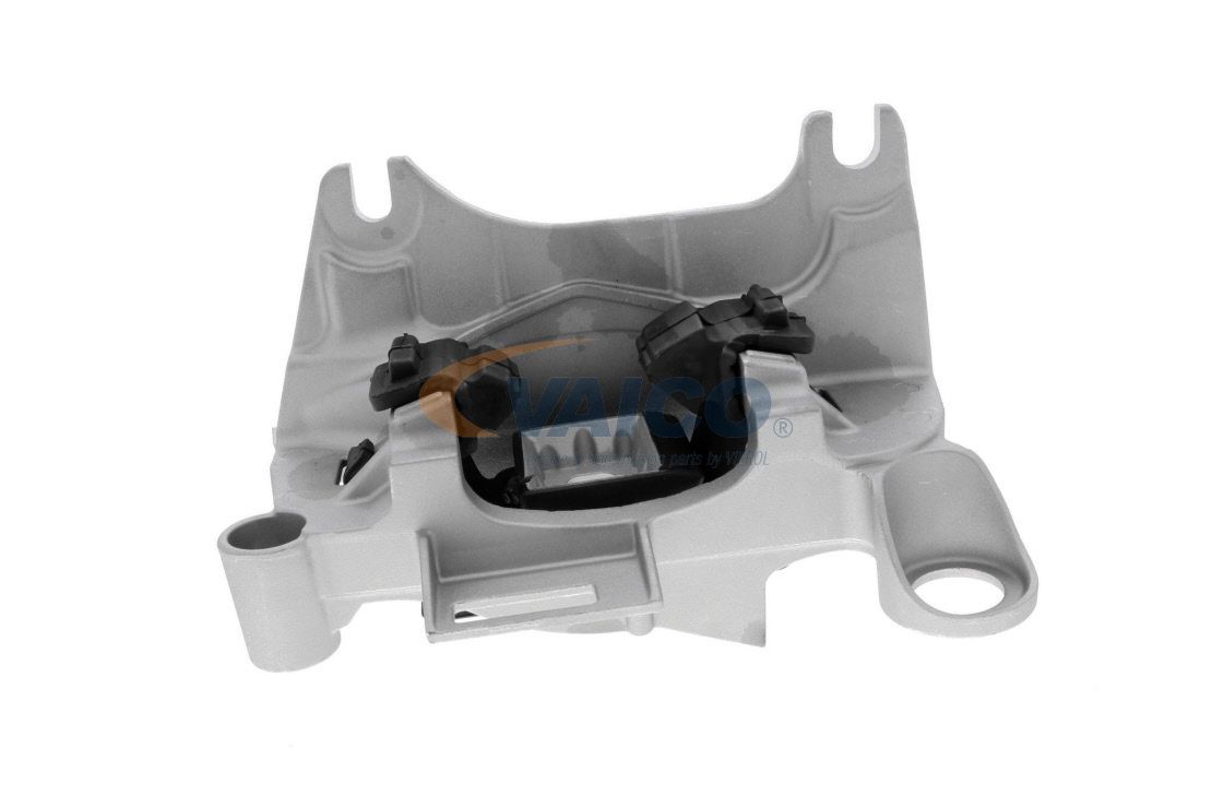 Variklio montavimas VAICO V46-1131