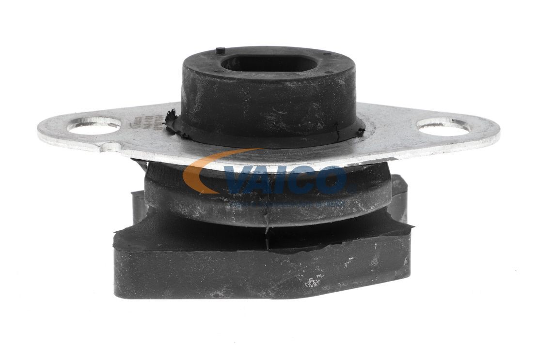 Variklio montavimas VAICO V46-1168