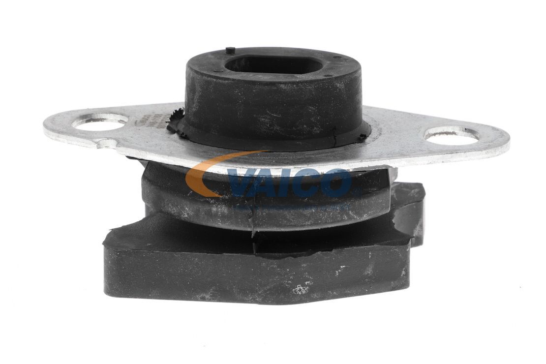 Variklio montavimas VAICO V46-1168